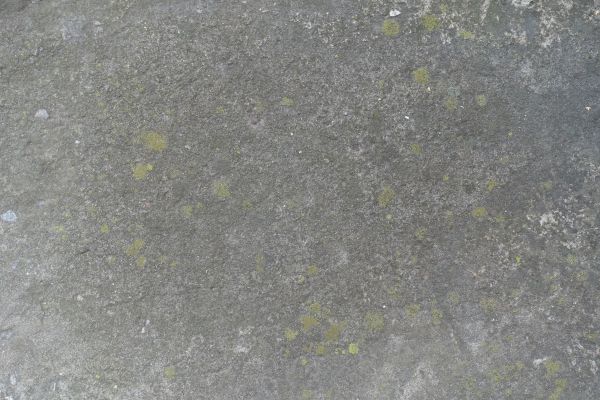 Cost of Slab Staining Service in Walnut Creek